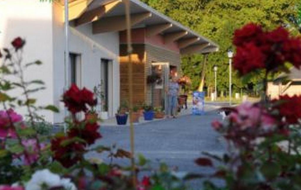 Camping Au Bord De L'Aisne Guignicourt Buitenkant foto